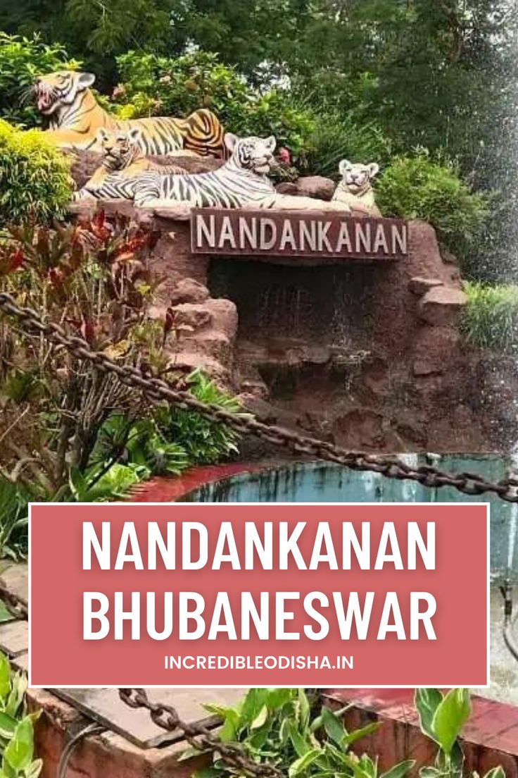 Nearby Place 3